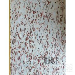 湛江水磨石施工隊與天津環氧地坪漆施工的專業解析